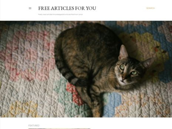 articlezoya.blogspot.com