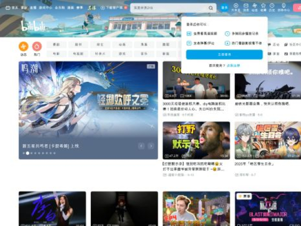 bilibili.com