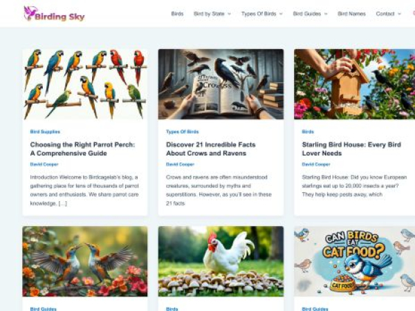 birdingsky.com