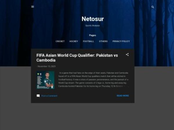 netosur.blogspot.com