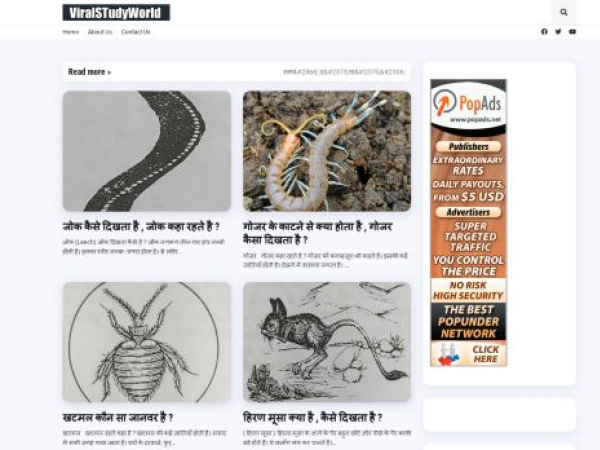 viralstudyworld.blogspot.com
