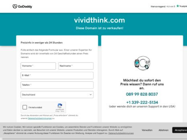 vividthink.com