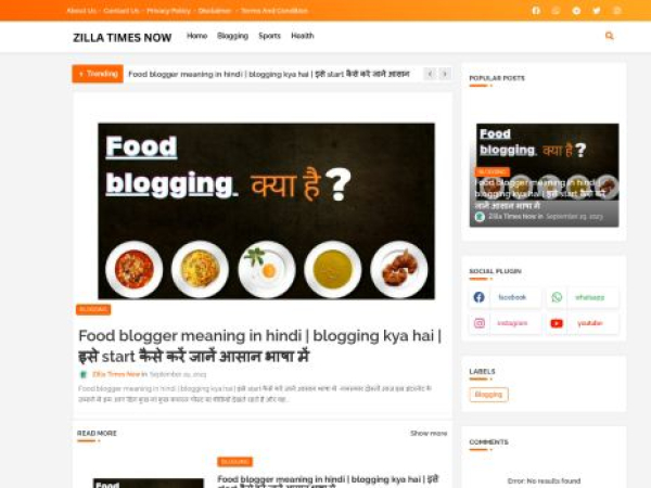 zillatimesnow.blogspot.com